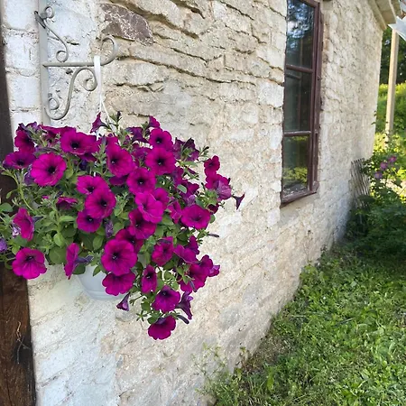 Appartement Vasalemma Country Retreat *