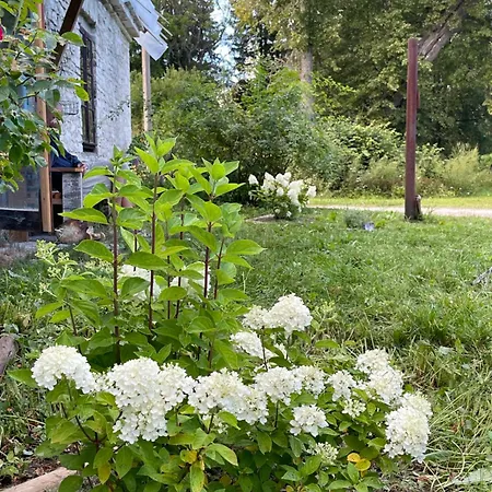 Vasalemma Country Retreat Appartement Tallinn