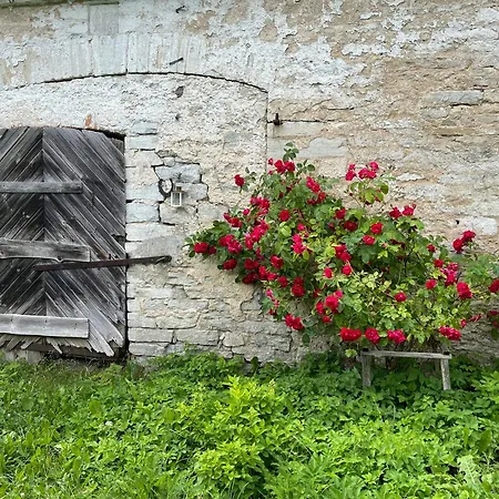 Vasalemma Country Retreat Appartement Tallinn